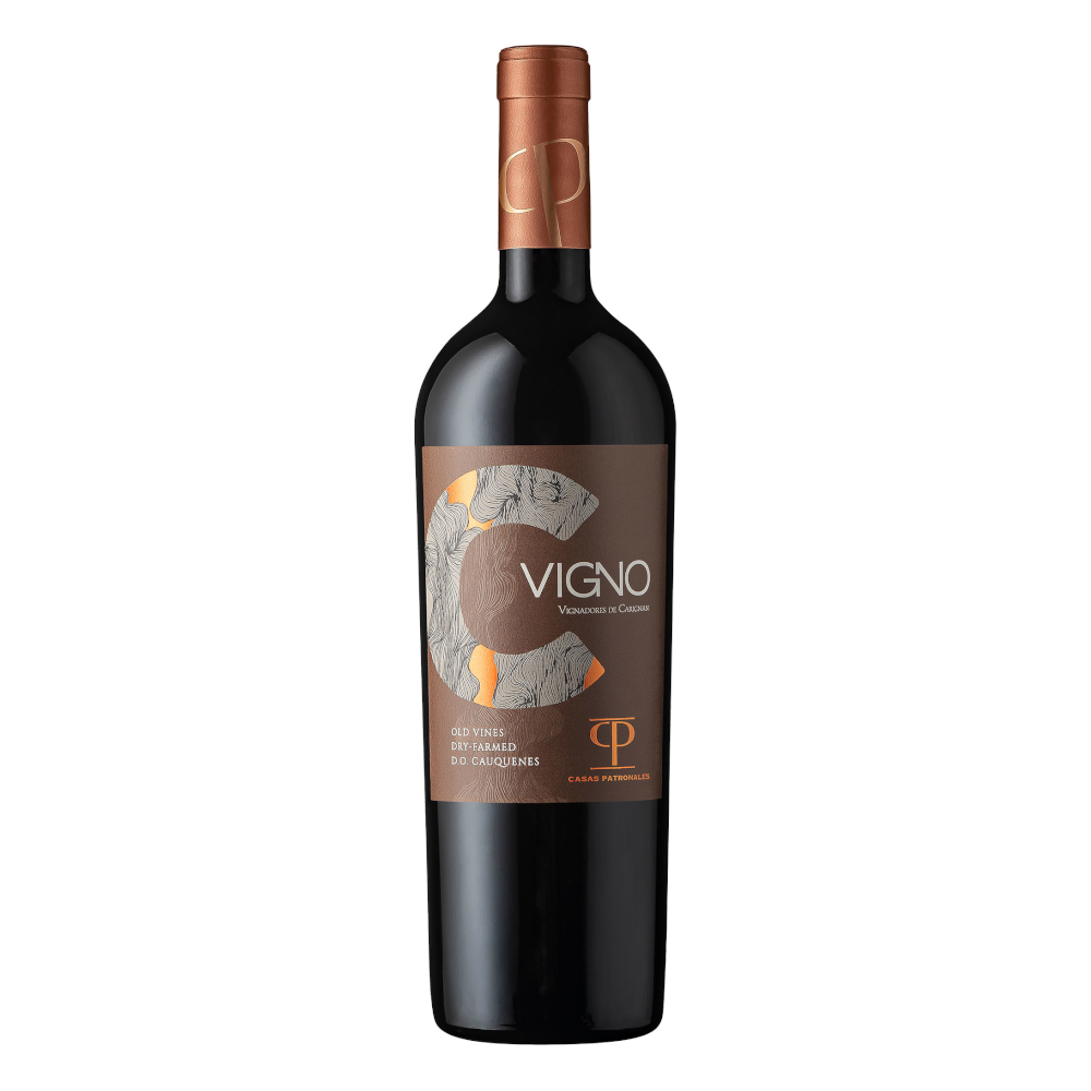 Wino Casas Patronales Vigno Carignan 2020 14,5% czerwone wytrawne 750 ml